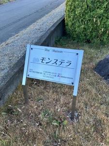 モンステラ 101号-13