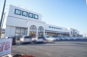 メゾン・ベルデュール三番館 205号-14