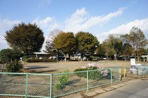 シャーメゾン F 111号-15