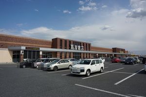 フィオＣ 203号-13