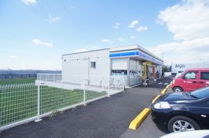 Ｌｅ　Ｓｏｌｅｉｌ　Ⅱ 203号-15