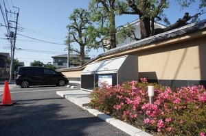 ＳＤＳ　１２　Ａ 101号-13