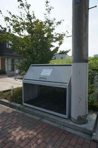 クレマチスT 201号-4