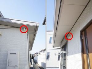 エーデルワイスＣ 101号-15