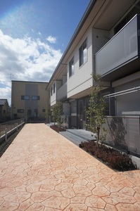 アメイジング・クレスト　Ｄ 102号-13