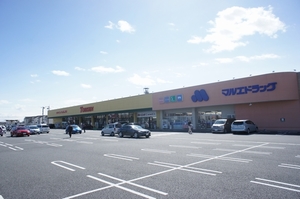 グラーツィア 205号-15