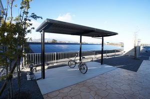 フェザント　Ⅲ 203号-3