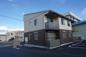 セルシャンプＢ