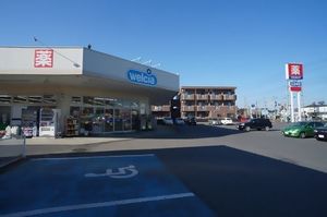 マーベラス　Ｂ 102号-5