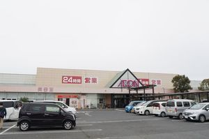 ドリーム コスモ A 101号-14