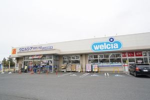 ドリーム コスモ A 101号-15