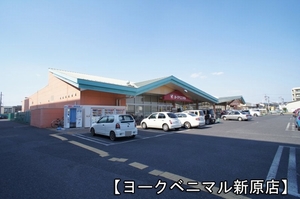 ピエールリヴィエール　Ｃ 202号-13