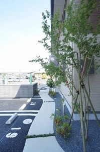 レティシア峰後　Ⅱ 205号-15