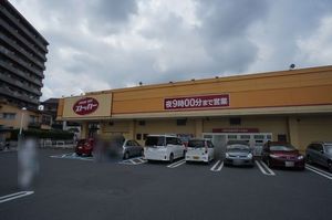 ｆｅｌｉｃｅ 203号-13