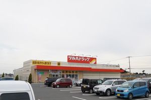 アクトグレース桜の郷 B 102号-14