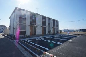 Ｂｅｌｌｅｓ　Ｐｌｕｍｅｓ