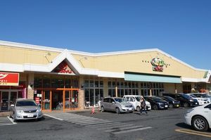 ラングスリーブン 102号-14