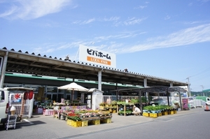 マロニエ A 103号-13