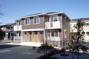 向日葵　Ｃ 201号-1