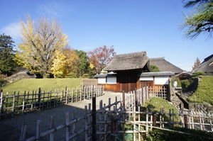 オートソーレ 103号-13