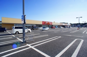 ブラウン クロス 201号-14