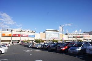 ドリーミオ A 205号-14