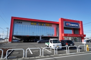 アントワーヌ 301号-14