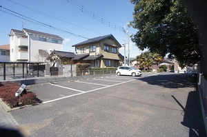ルピナス 202号-12