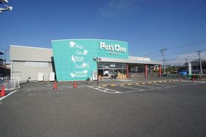 メゾンボヌールＢ 203号-15