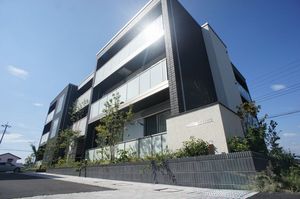 サントリナ 302号-12