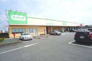 マストライフおもちゃのまちB 102号-15