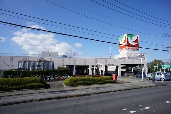 ベルフローラ 101号-15