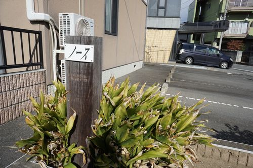 リヴェ－ルノース 102号-12