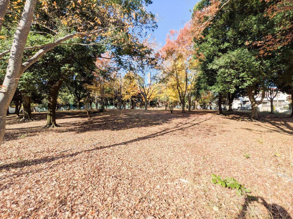 メルベーユ 201号-15