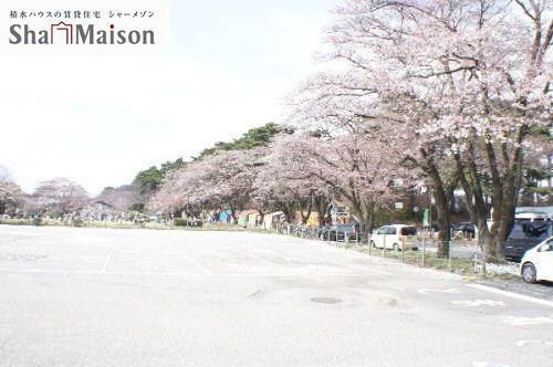 ペパルク 205号-3