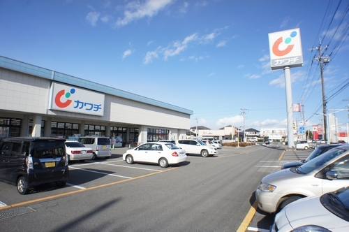 カーネーション B 201号-12