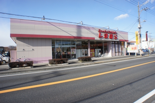 カーネーション B 201号-14