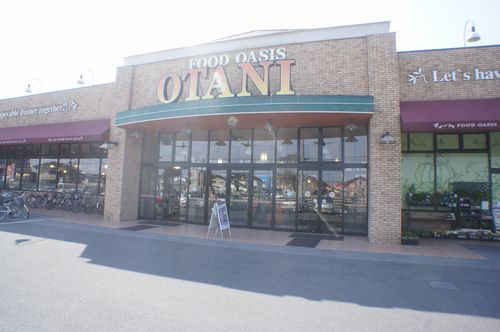 ダンデライオン　Ｈ 201号-15