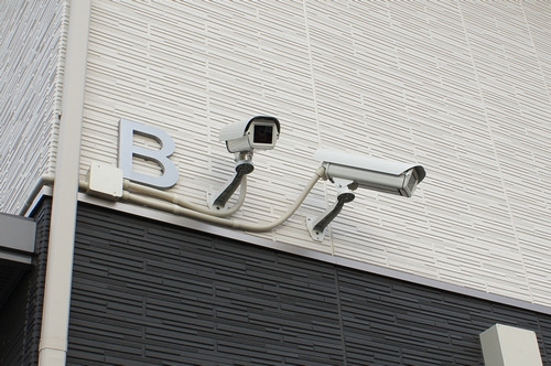 カーサ・デ・アニマレス B 201号-12