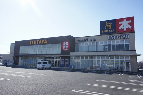 Ｇｒａｓｓ　ｈａｒｐ　Ｂ 101号-15