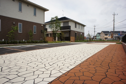 Vita Seed Ⅰ 202号-13