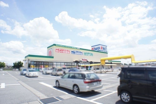 ｅｌｖｉｔａ 101号-15