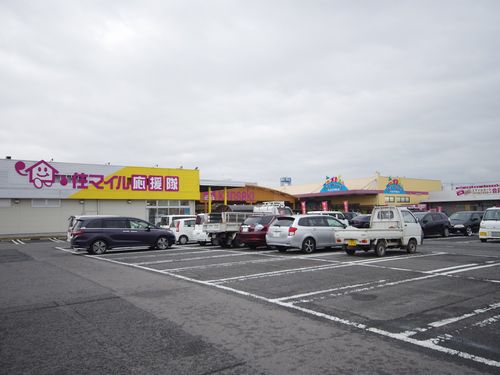 ジャルダン・デュ・レーヴB 203号-15