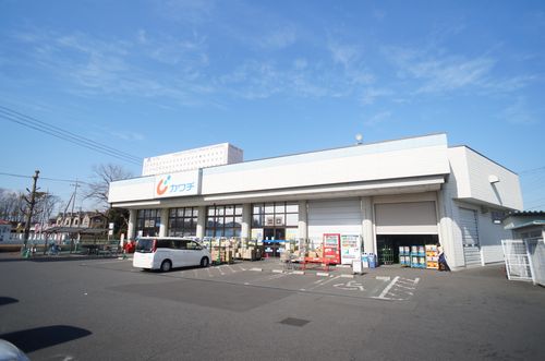 ｇｅｍ　ｖｉｏｌａ　Ａ 206号-15