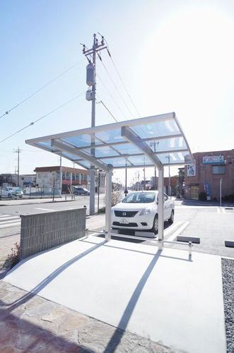 gem viola D 301号-14