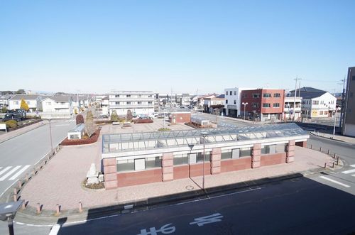 gem viola E 101号-15