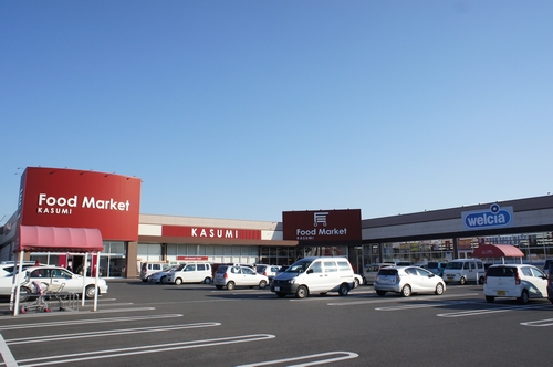 グランド・エミール　Ⅶ 203号-14