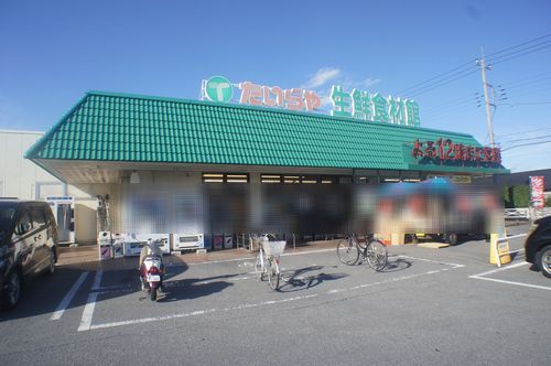 メゾン・ド・HOSAKA 101号-14