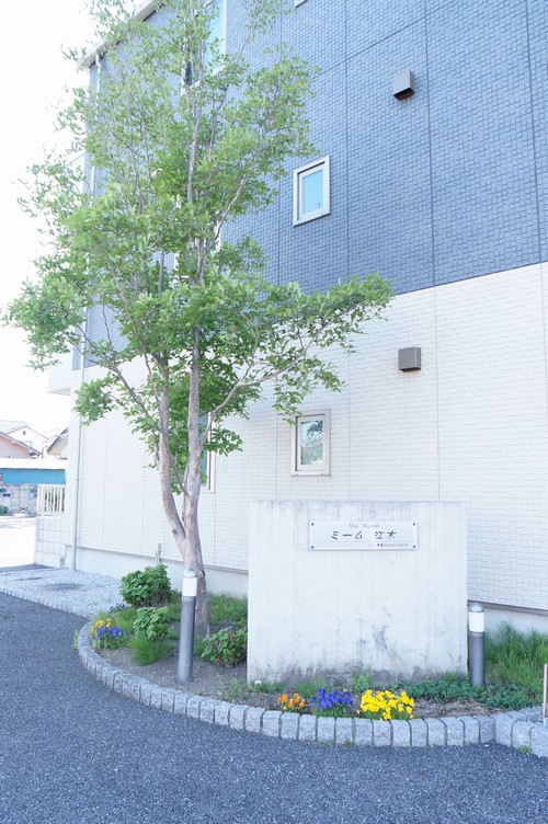 ミーム　江木 303号-12