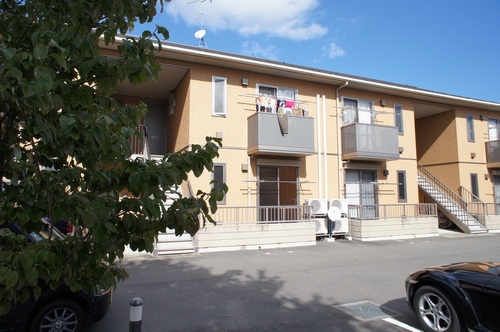 ラウンドパディーＣ 205号-7